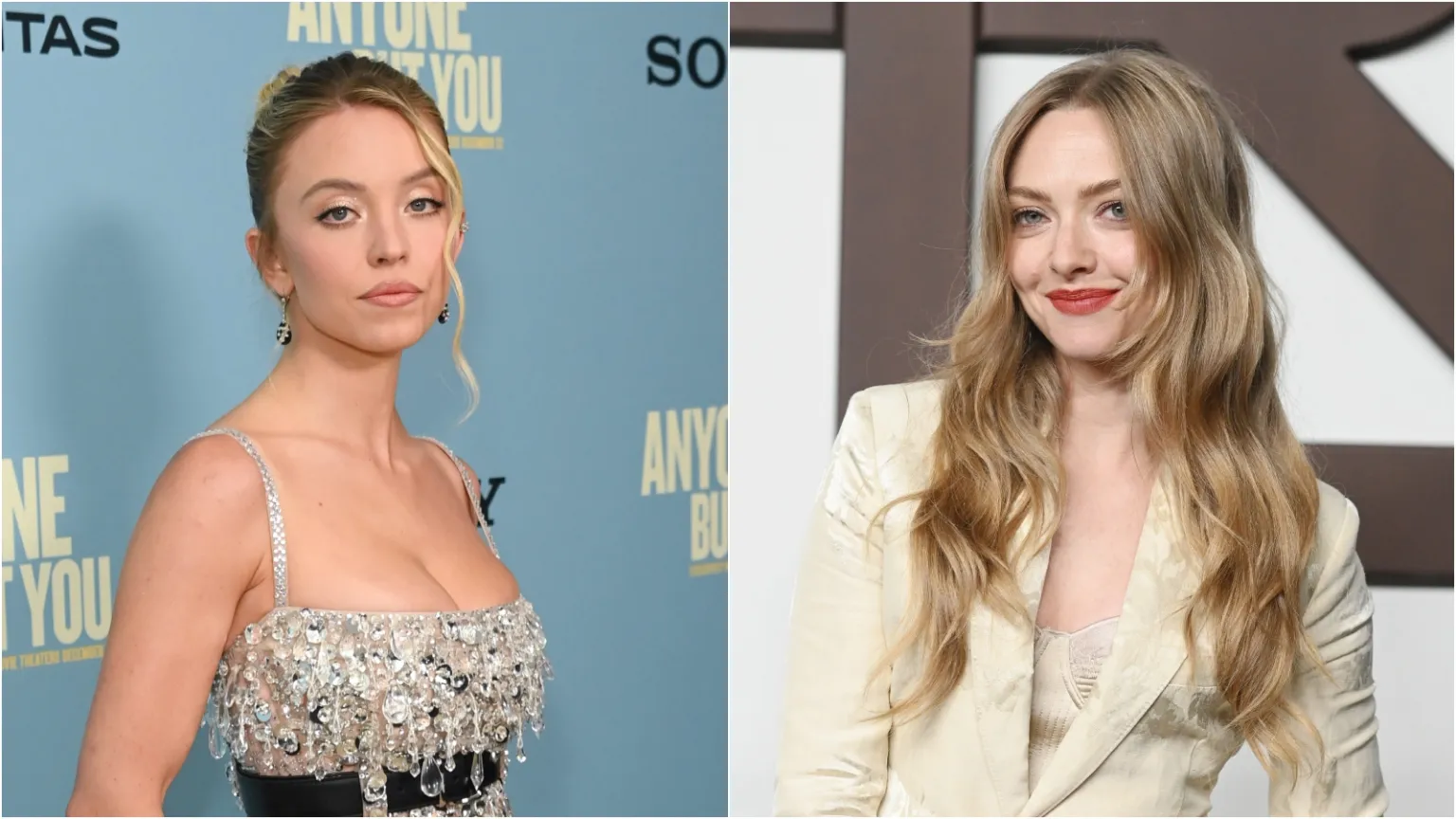 Sydney Sweeney and Amanda Seyfried to Lead ‘The Housemaid' Adaptation for Paul Feig; What about The Fire Within?